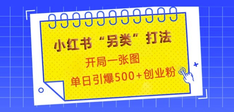 小红书“另类”打法，开局一张图，单日引爆500+精准创业粉【揭秘】-云推网创项目库