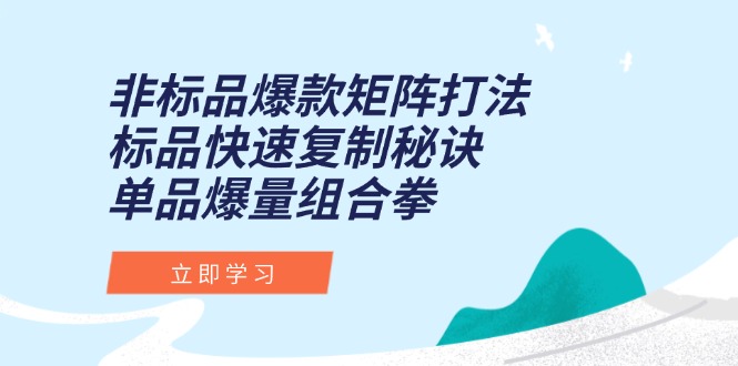 非标品爆款矩阵打法，标品快速复制秘诀，单品爆量组合拳-云推网创项目库