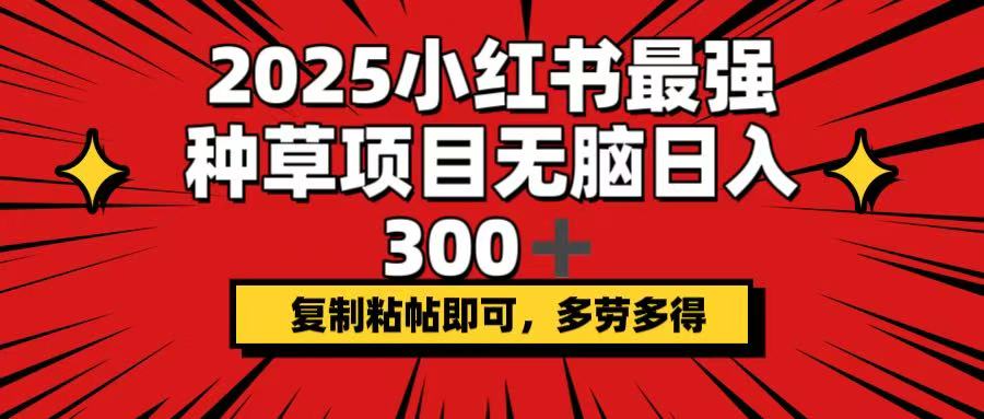 2025小红书最强种草项目，无脑日入300+，复制粘帖即可，多劳多得-云推网创项目库