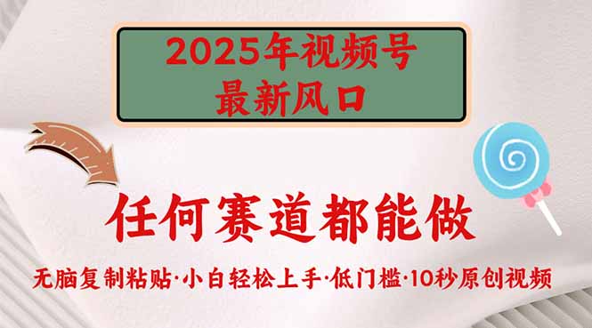 2025年视频号新风口，低门槛只需要无脑执行-云推网创项目库