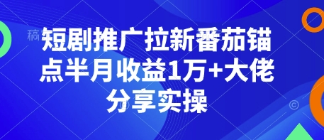 短剧推广拉新番茄锚点半月收益1万+大佬分享实操-云推网创项目库
