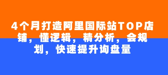 4个月打造阿里国际站TOP店铺，懂逻辑，精分析，会规划，快速提升询盘量-云推网创项目库