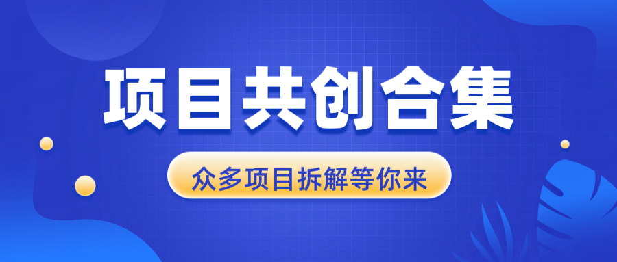 项目共创合集，从0-1全过程拆解，让你迅速找到适合自已的项目-云推网创项目库