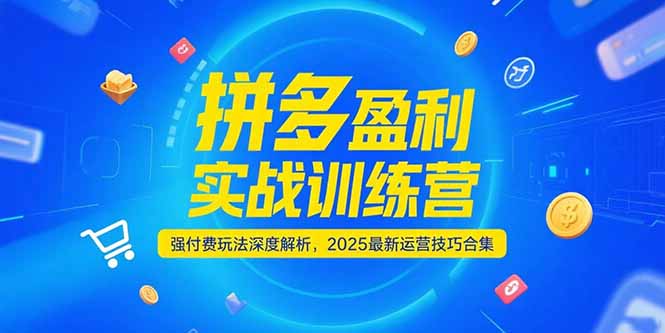 拼多多盈利实战训练营，强付费玩法深度解析，2025运营技巧合集-更新6月-云推网创项目库