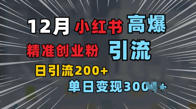 小红书一张图片“引爆”创业粉，单日+200+精准创业粉 可筛选付费意识创业粉【揭秘】-云推网创项目库