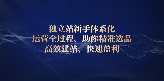 独立站新手体系化 运营全过程，助你精准选品、高效建站、快速盈利-云推网创项目库