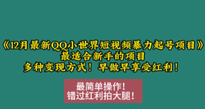 12月最新QQ小世界短视频暴力起号项目，最适合新手的项目，多种变现方式-云推网创项目库