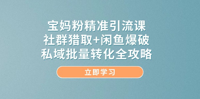 宝妈粉精准引流课，社群猎取+闲鱼爆破，私域批量转化全攻略-云推网创项目库