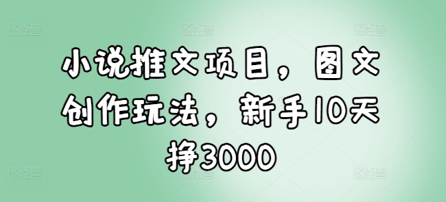 小说推文项目，图文创作玩法，新手10天挣3000-云推网创项目库