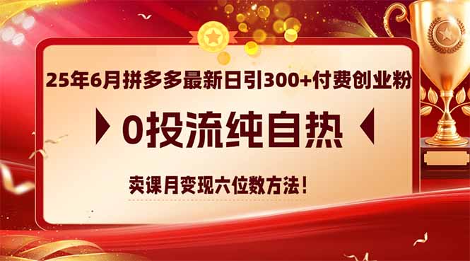 25年6月拼多多最新日引300+付费创业粉，0投流纯自热 卖课月变现六位数方法-云推网创项目库