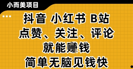 小而美的项目，抖音小红书B站视频点赞、关注、评论就能挣钱，简单无脑立见收益，妥妥的零撸项目【揭秘】-云推网创项目库
