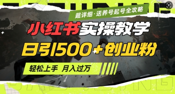 2月小红书最新日引500+创业粉实操教学【超详细】小白轻松上手，月入1W+，附小红书养号起号SOP-云推网创项目库