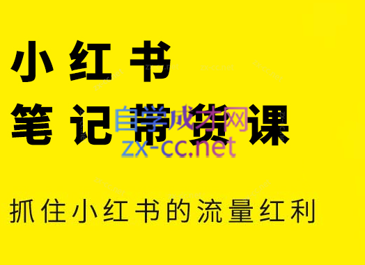 张宾·小红书笔记带货课(更新5月)-云推网创项目库