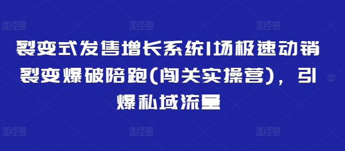 裂变式发售增长系统1场极速动销裂变爆破陪跑(闯关实操营)，引爆私域流量-云推网创项目库