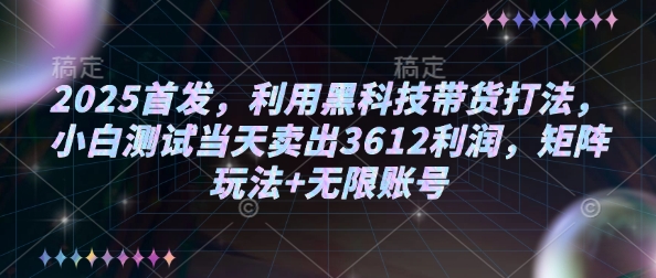 2025首发，利用黑科技带货打法，小白测试当天卖出3612利润，矩阵玩法+无限账号【揭秘】-云推网创项目库