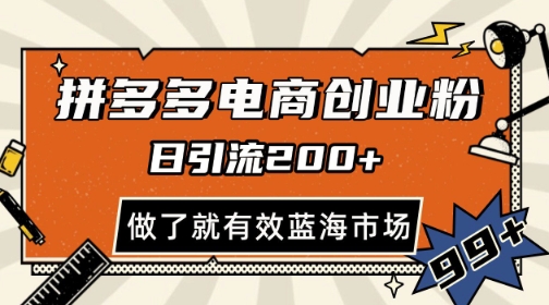 拼多多引流电商创业粉，日引200+，可矩阵放大，做了就有效【揭秘】-云推网创项目库