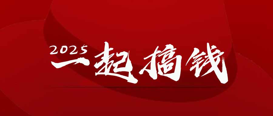 2025年，请“不择手段”去搞钱!-云推网创项目库