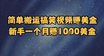 简单搬运搞笑视频挣美金，新手一个月入1k美金-云推网创项目库