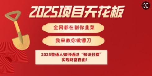 2025项目天花板普通人如何通过知识付费，实现财F自由【揭秘】-云推网创项目库